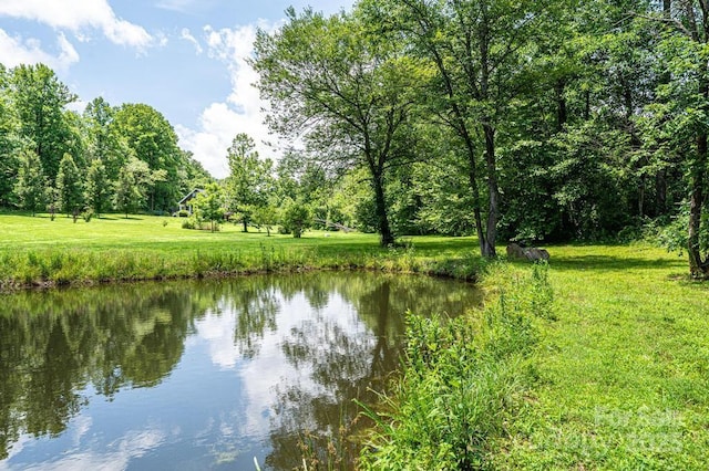 3659 Vashti Rd, Taylorsville, NC 28681 - water view