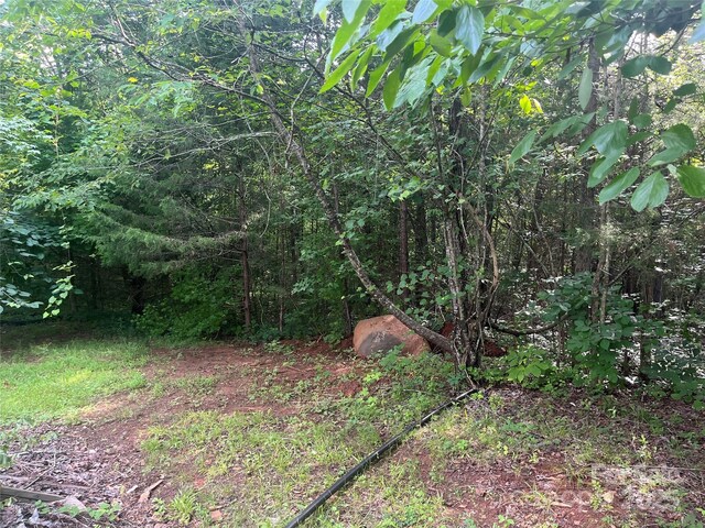 9314 Seymour Ln, Davidson, NC 28036 - view of nature