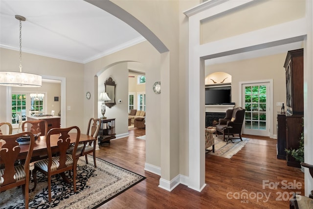 23 Tanglewood Rd, Clover, SC 29710 - dining area featuring ornamental molding, arched walkways, plenty of natural light, dark wood finished floors, and a lit fireplace