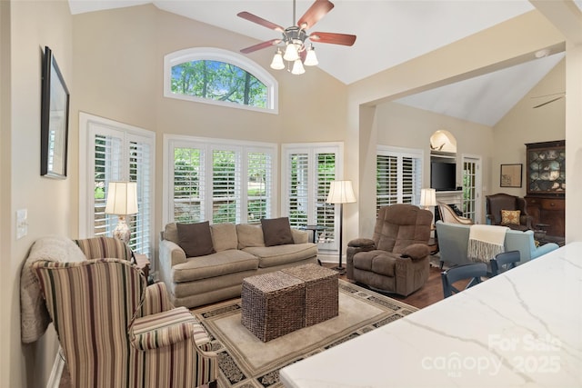 23 Tanglewood Rd, Clover, SC 29710 - living area featuring a ceiling fan, high vaulted ceiling, and wood finished floors