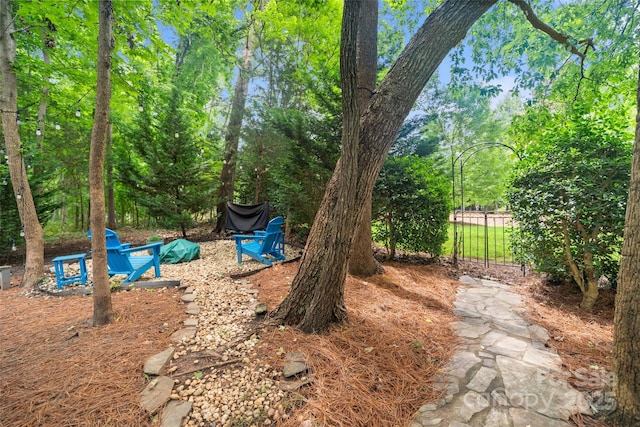 23 Tanglewood Rd, Clover, SC 29710 - view of yard