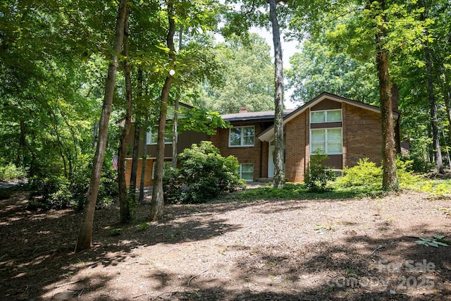15 Cedar Trl, Asheville, NC 28803 - photo 10
