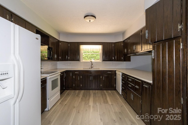 15 Cedar Trl, Asheville, NC 28803 - photo 11