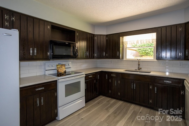 15 Cedar Trl, Asheville, NC 28803 - photo 14