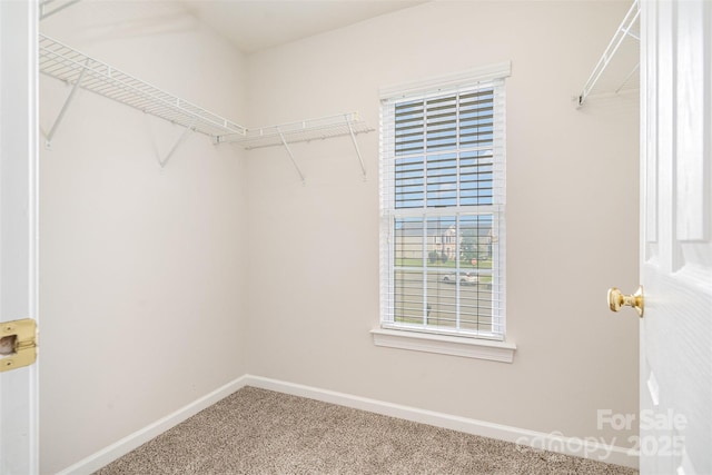 14911 Taggert Trail Dr, Charlotte, NC 28273 - photo 21