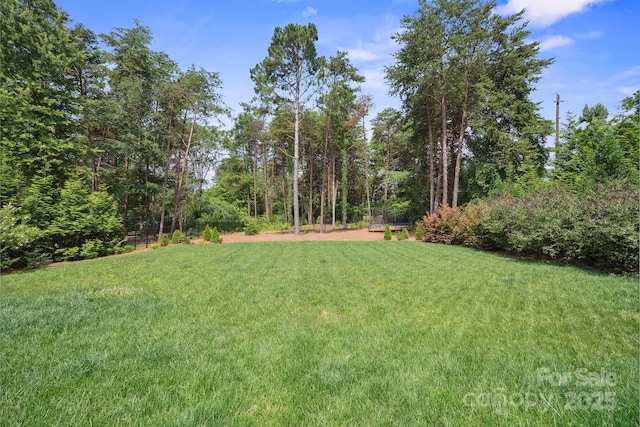 20635 Queensdale Dr, Cornelius, NC 28031 - view of grassy yard