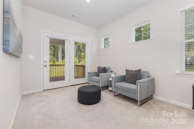 11226 Dappled Light Trl, Charlotte, NC 28227 - photo 14