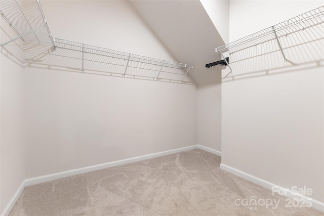 11226 Dappled Light Trl, Charlotte, NC 28227 - photo 18