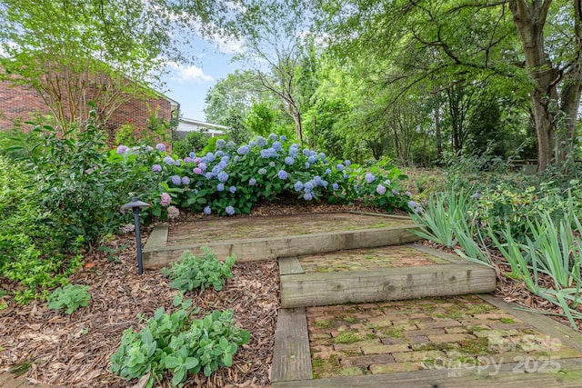 43 Paddington Dr SW, Concord, NC 28025 - view of yard