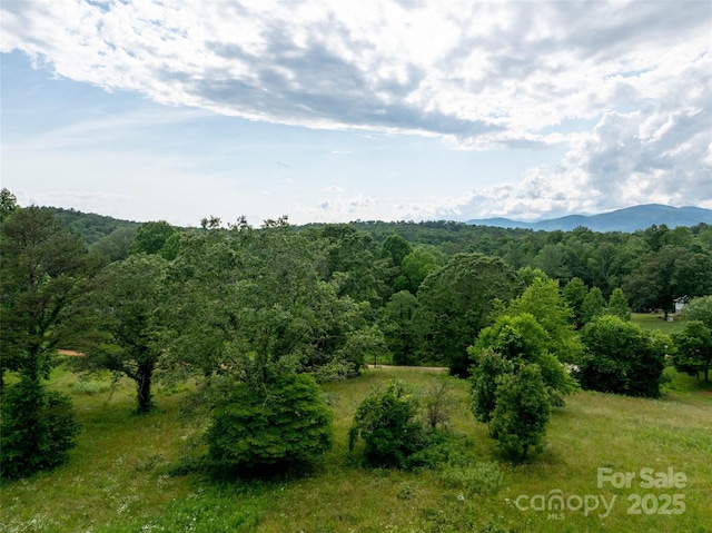 00 Open Valley Rd, Marion, NC 28752