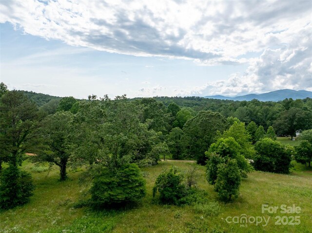 00 Open Valley Rd, Marion, NC 28752 - photo 5