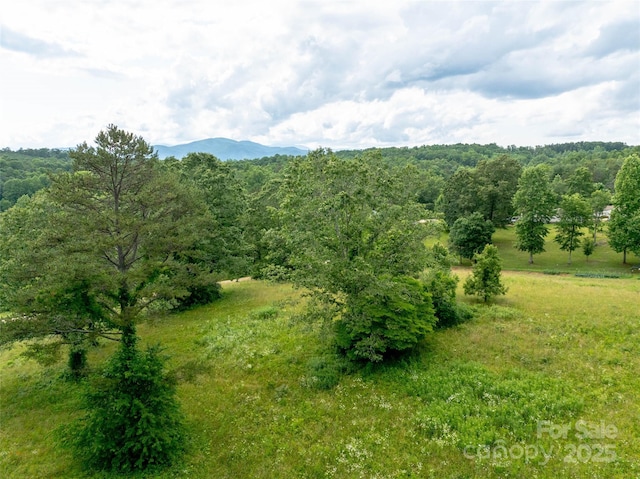 00 Open Valley Rd, Marion, NC 28752