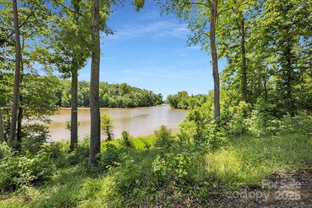 1194 99 Island Rd, Blacksburg, SC 29702 - photo 40