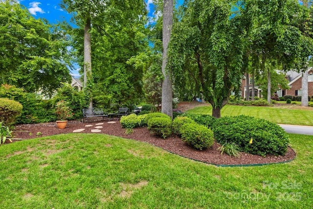 9514 Hayenridge Ct, Huntersville, NC 28078 - view of grassy yard