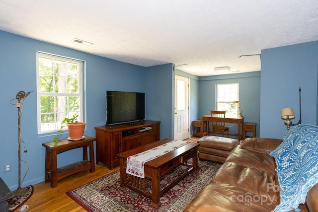 3153 US-70 Hwy E, Black Mountain, NC 28711 - living area with wood finished floors and baseboards