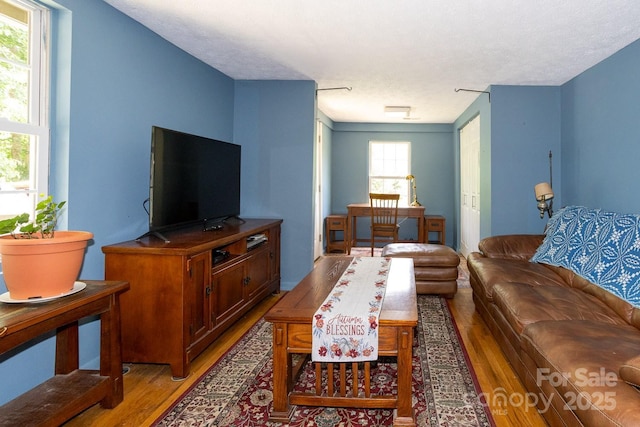 3153 US-70 Hwy E, Black Mountain, NC 28711 - living area with light wood finished floors