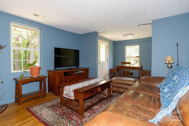 3153 US-70 Hwy E, Black Mountain, NC 28711 - living room with wood finished floors and baseboards