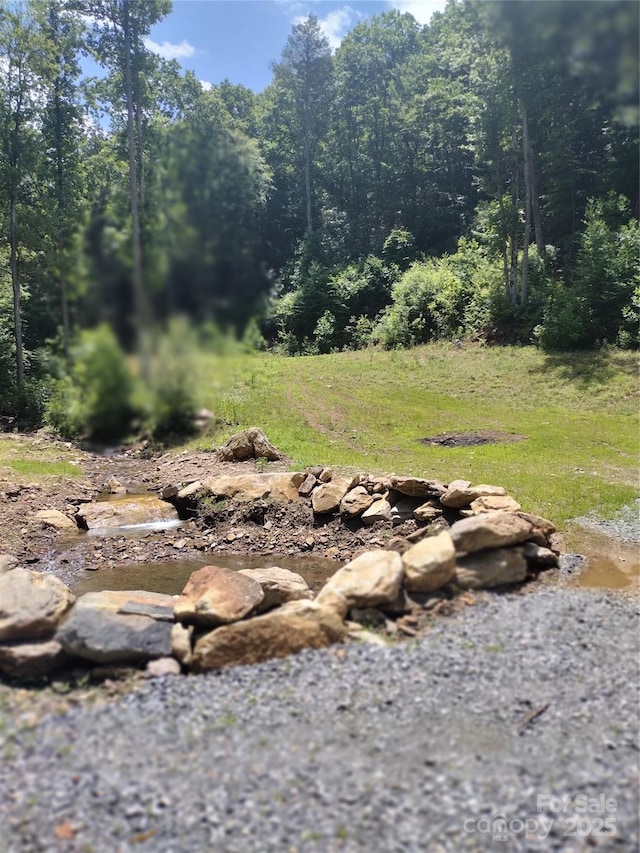 962 Laurel Mountain View Rd, Flat Rock, NC 28731 - view of yard with a view of trees