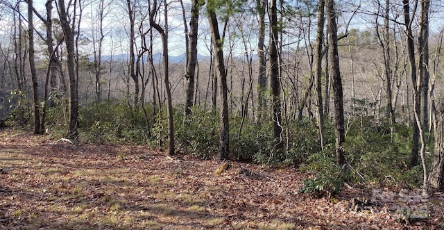 962 Laurel Mountain View Rd, Flat Rock, NC 28731 - view of wooded area