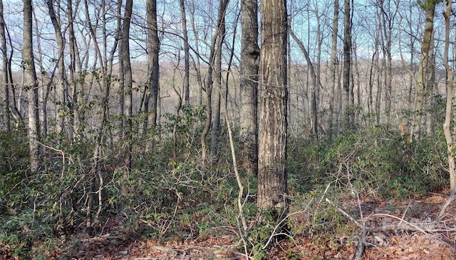 962 Laurel Mountain View Rd, Flat Rock, NC 28731 - view of tree filled area