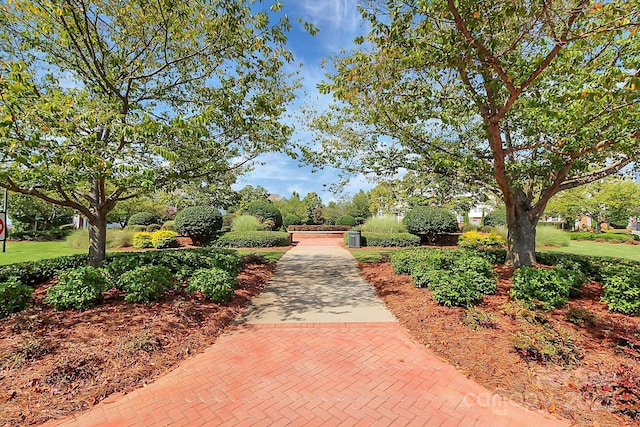 14451 San Paolo Ln, Charlotte, NC 28277 - photo 37