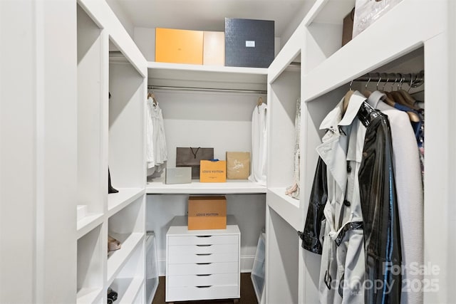 622 Mattie Rose Ln, Charlotte, NC 28204 - view of walk in closet