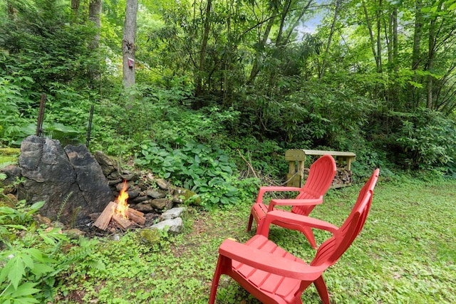 80 Laurel Canyon Rd, Franklin, NC 28734 - view of yard