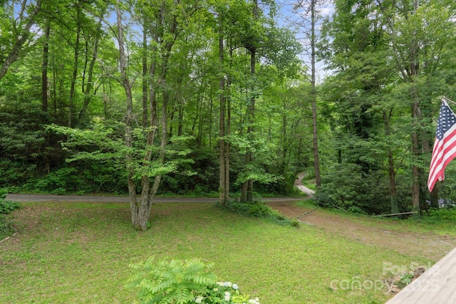 80 Laurel Canyon Rd, Franklin, NC 28734 - view of yard