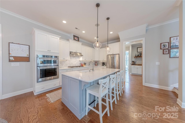 5256 Meadowcroft Way, Fort Mill, SC 29708 - kitchen featuring stainless steel appliances, under cabinet range hood, ornamental molding, backsplash, and light wood-type flooring