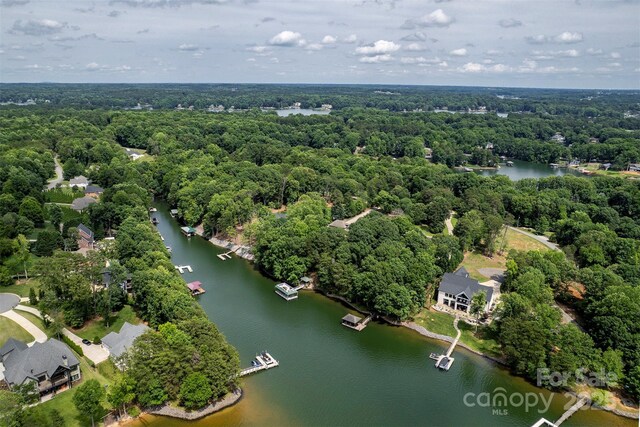 176 Windwood Ln, Troutman, NC 28166 - drone / aerial view of a forest and a nearby body of water