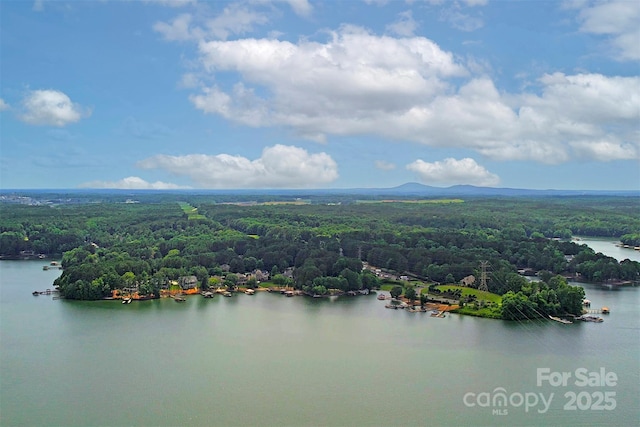 176 Windwood Ln, Troutman, NC 28166 - bird's eye view of a forest and a nearby body of water