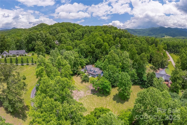 98 Choga Rdg, Whittier, NC 28789 - aerial view of a heavily wooded area
