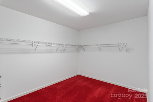 98 Choga Rdg, Whittier, NC 28789 - spacious closet with dark carpet