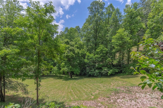 98 Choga Rdg, Whittier, NC 28789 - view of green lawn