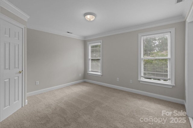 165 Futrell Lndg, New London, NC 28127 - carpeted spare room with crown molding and plenty of natural light