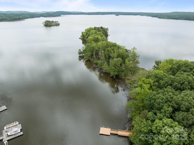 165 Futrell Lndg, New London, NC 28127 - aerial view of a nearby body of water