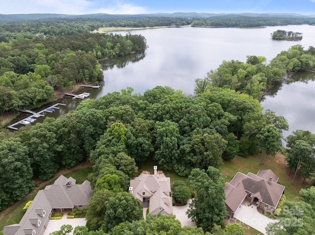 165 Futrell Lndg, New London, NC 28127 - aerial view of a large body of water and a forest