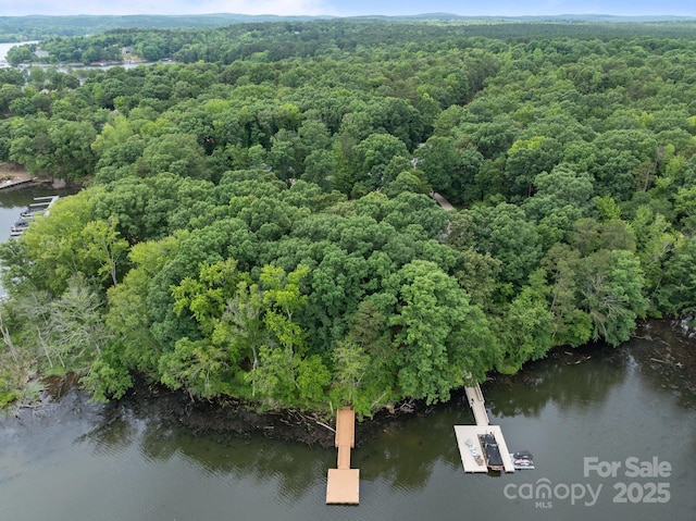 165 Futrell Lndg, New London, NC 28127 - view of property location featuring a forest and a nearby body of water