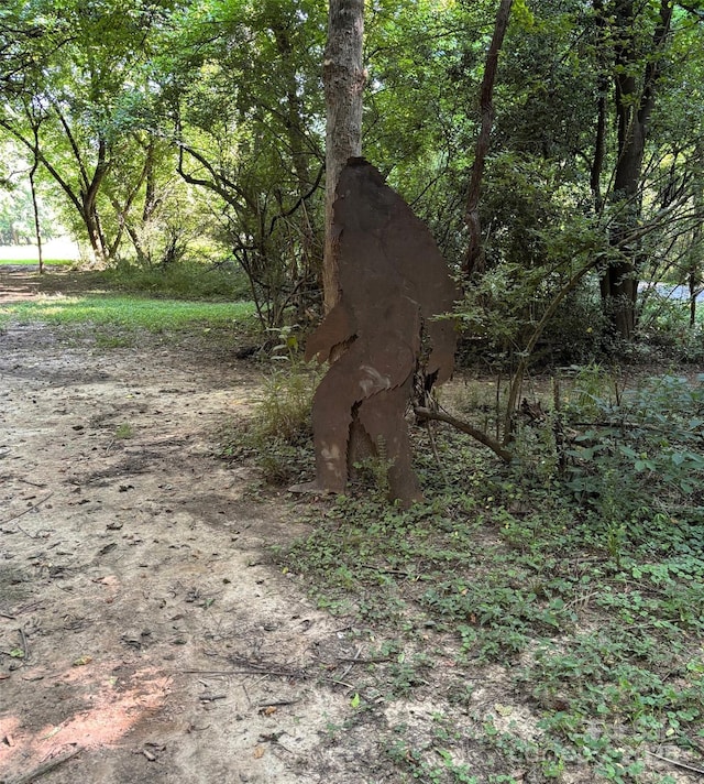 339 Mayflower Ave, Cramerton, NC 28032 - view of nature