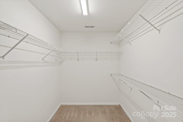 3114 Pine Pointe St, Matthews, NC 28104 - walk in closet with carpet