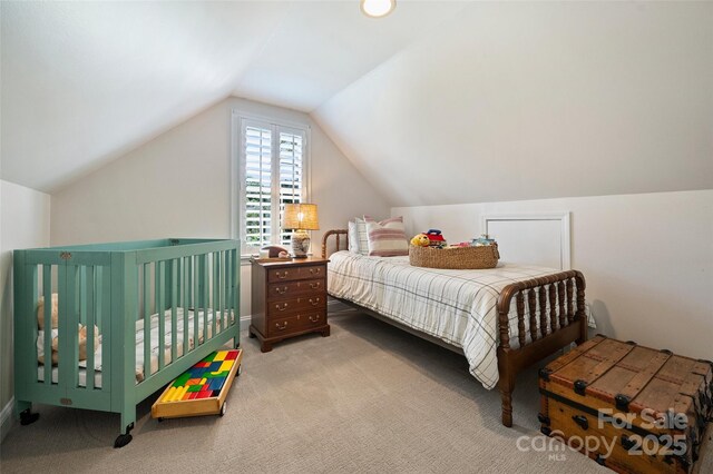 159 Carsons Pl, Mooresville, NC 28117 - photo 29