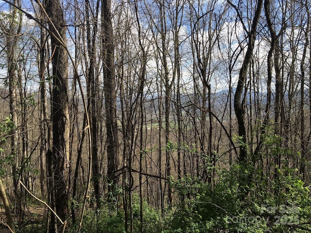 0 Kitty Ln, Waynesville, NC 28785