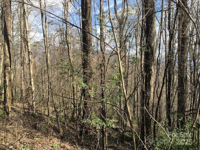 0 Kitty Ln, Waynesville, NC 28785