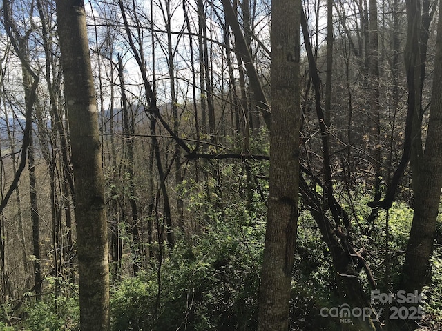 0 Kitty Ln, Waynesville, NC 28785