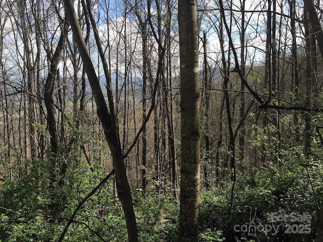 0 Kitty Ln, Waynesville, NC 28785