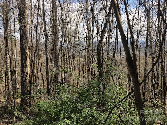 0 Kitty Ln, Waynesville, NC 28785