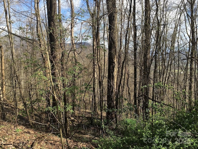 0 Kitty Ln, Waynesville, NC 28785