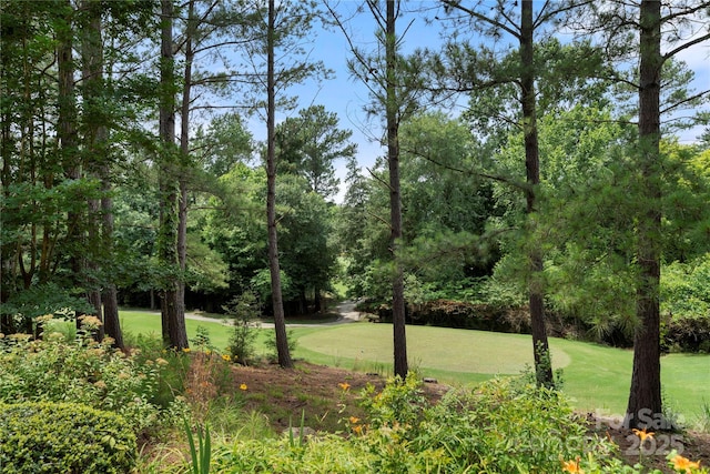 765 Cherry Hills Pl, Rock Hill, SC 29730 - photo 47