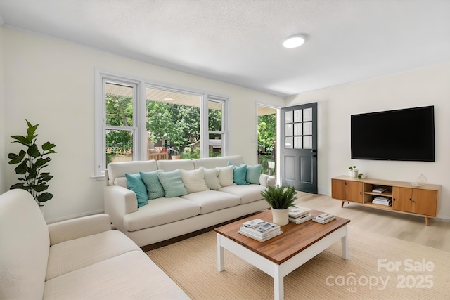 306 2nd Avenue Pl NE, Conover, NC 28613 - living room with light wood-style flooring