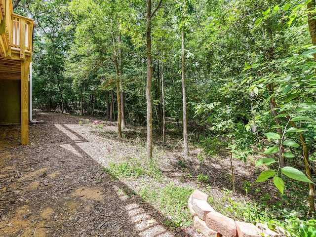 1117 Hidden Brook Ln, Clover, SC 29710 - view of yard featuring a wooded view